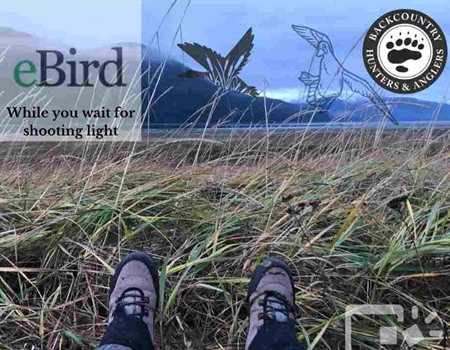 Using the eBird App to Further Citizen Science Efforts in Bird Hunting Species & Habitat Conservation