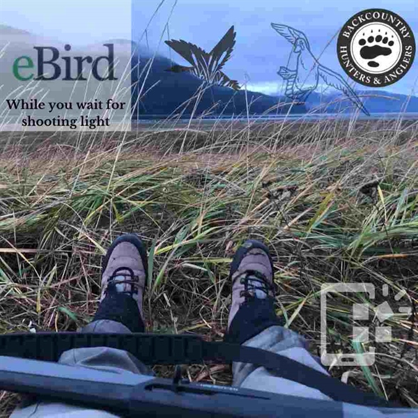 Using the eBird App to Further Citizen Science Efforts in Bird Hunting Species & Habitat Conservation