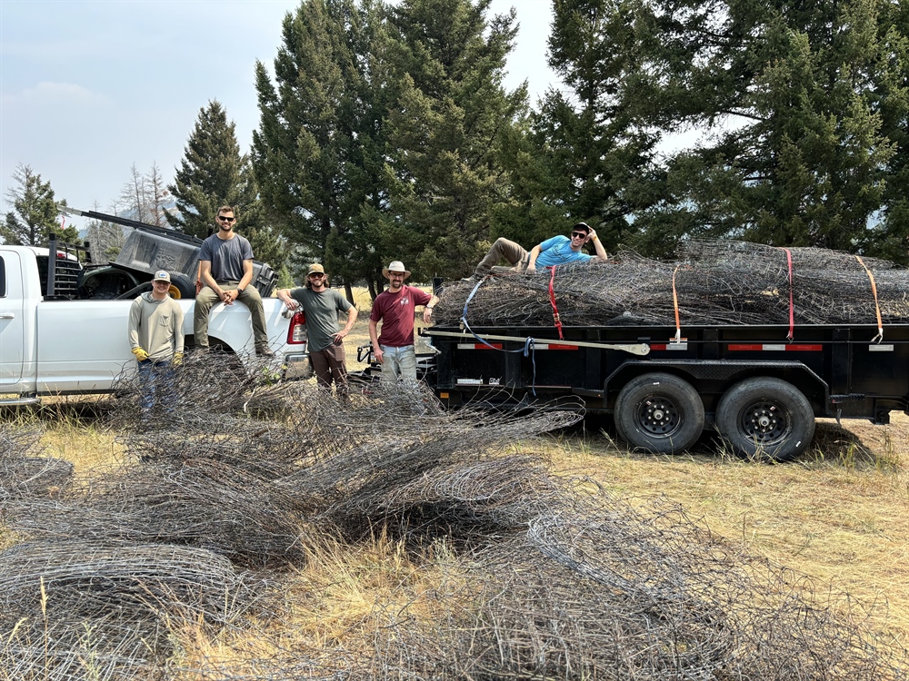 EVENT RECAP: Wise River Fence Removal