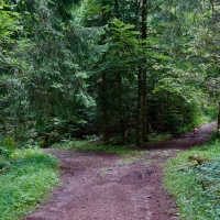 Trails at Mena - Project on Ouachita National Forest