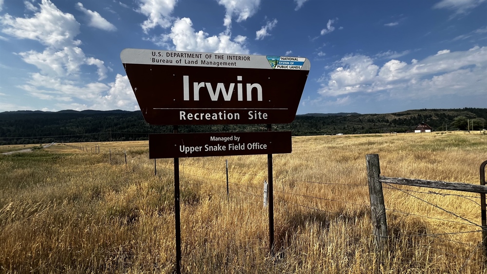 BLM and BHA Volunteers Spearhead Habitat Stewardship Project at Irwin Recreation Site