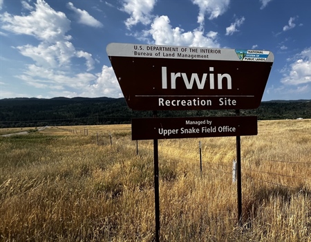 BLM and BHA Volunteers Spearhead Habitat Stewardship Project at Irwin Recreation Site