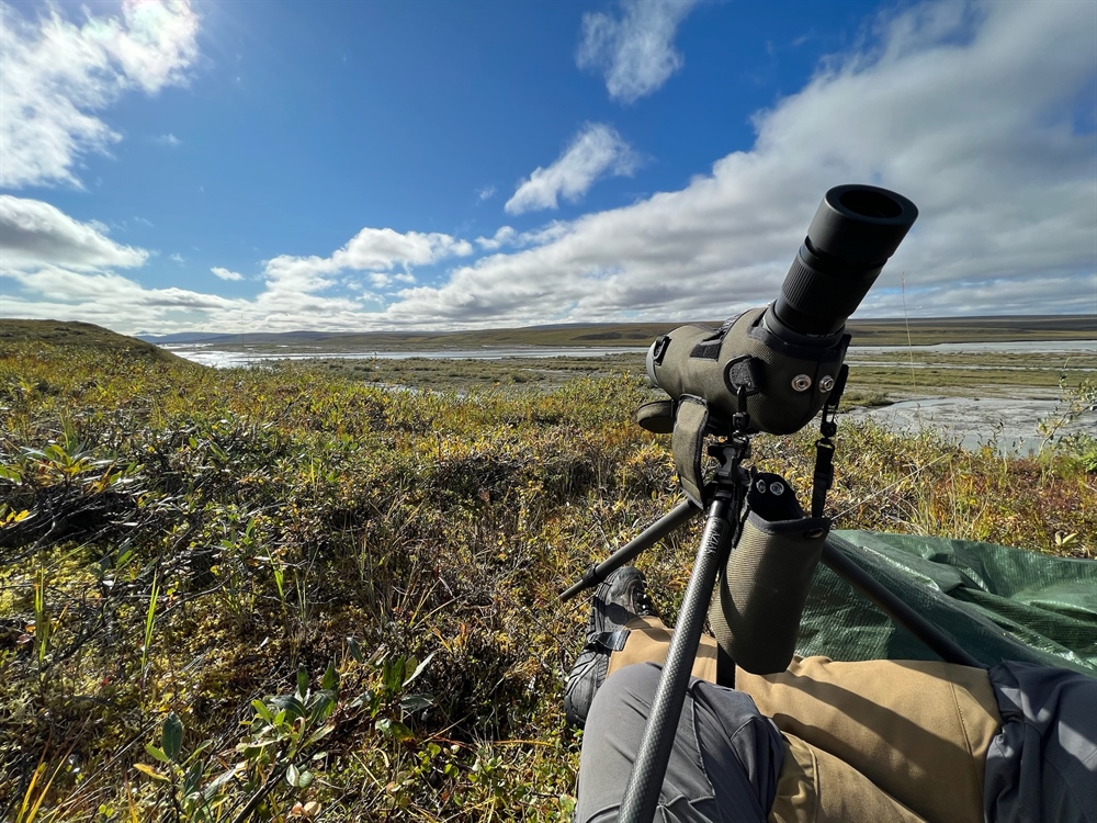 AFI Event Review (Alaska Caribou 2023)