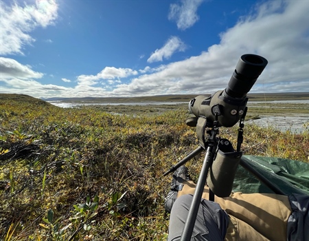 AFI Event Review (Alaska Caribou 2023)