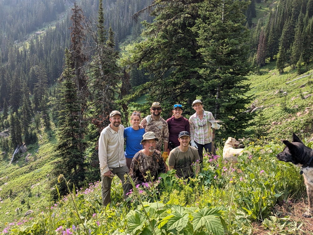 EVENT RECAP: Montana BHA Improves Trail in Lee Metcalf Wilderness