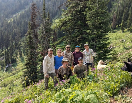 EVENT RECAP: Montana BHA Improves Trail in Lee Metcalf Wilderness