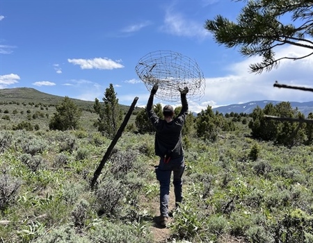 Fenced Out! - 4 months of Colorado fence projects.