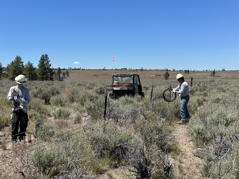 BHA Stewardship Report: The Oregon Fence Project