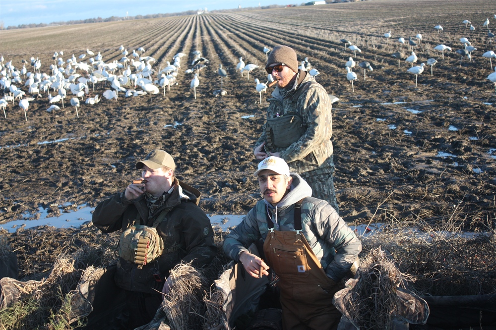 AFI Event Review (Arkansas Snow Goose 2023)