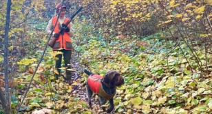 U.S. Forest Service Clarifies Dog Leash Rule for BWCA
