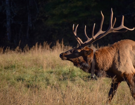 Colorado's Senators Share BHA Priorities for the Dolores Canyon National Monument Proposal