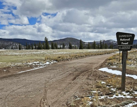 BHA Illegal Motorized Use Reward: Gunnison Area Hunter Speaks Up to Protect Habitat