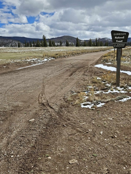 BHA Illegal Motorized Use Reward: Gunnison Area Hunter Speaks Up to Protect Habitat