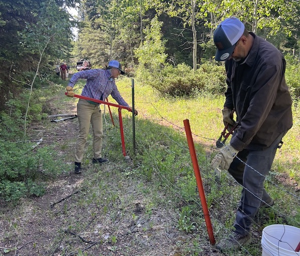 Spring Creek Rim Fence Removal