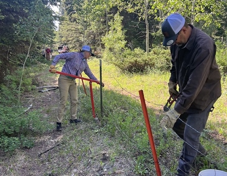 Spring Creek Rim Fence Removal
