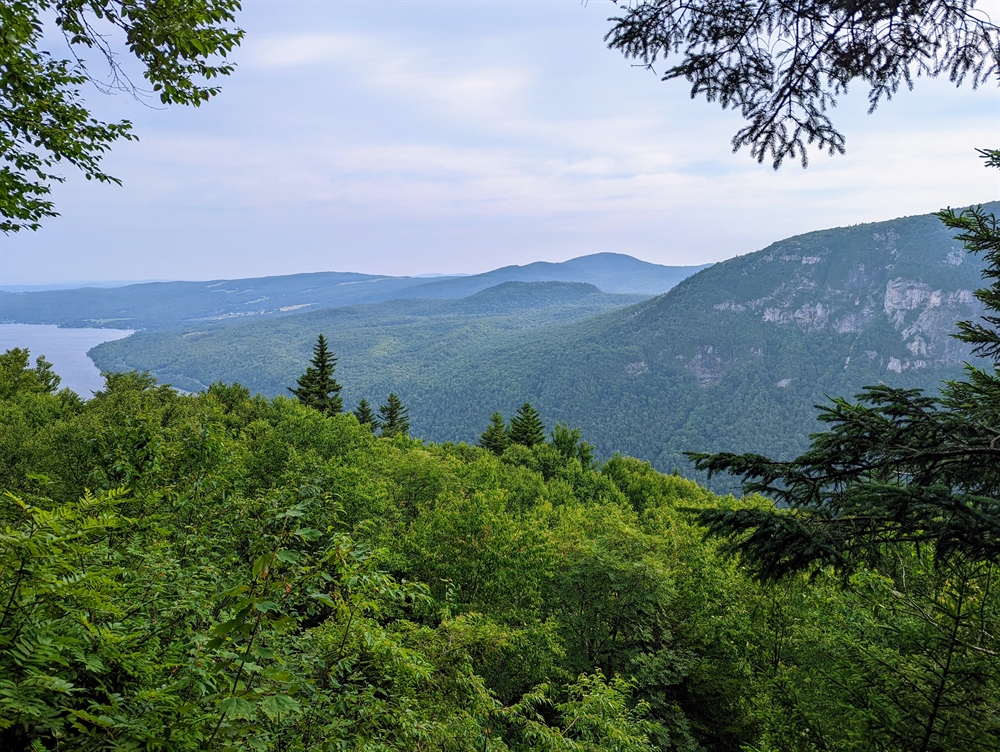 Vermont Successfully Defends Wildlife Management and Conservation Legacy