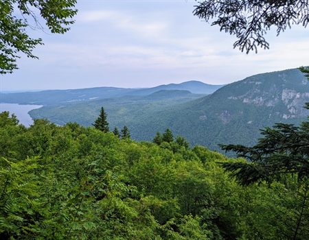 Vermont Successfully Defends Wildlife Management and Conservation Legacy