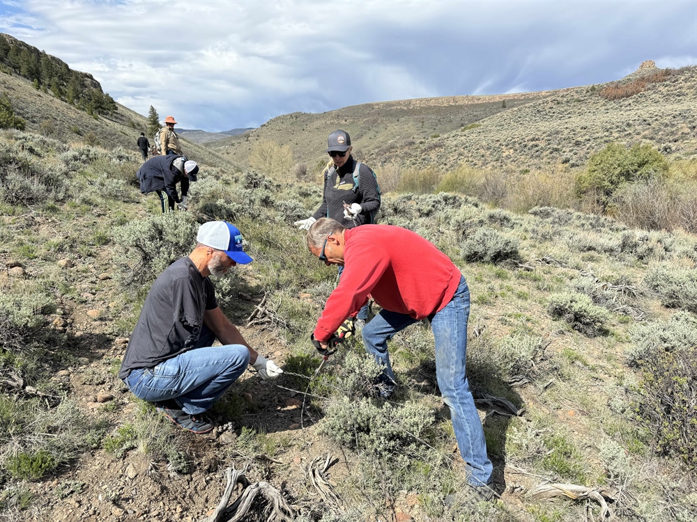 Colorado BHA Chapter Newsletter, Summer 2024