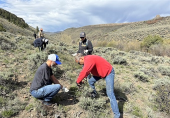 Colorado BHA Chapter Newsletter, Summer 2024