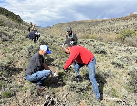 Colorado BHA Chapter Newsletter, Summer 2024