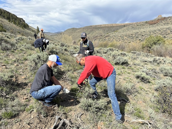 Colorado BHA Chapter Newsletter, Summer 2024