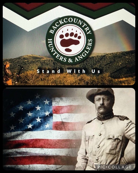 Colorado BHA Q2 2024 Update