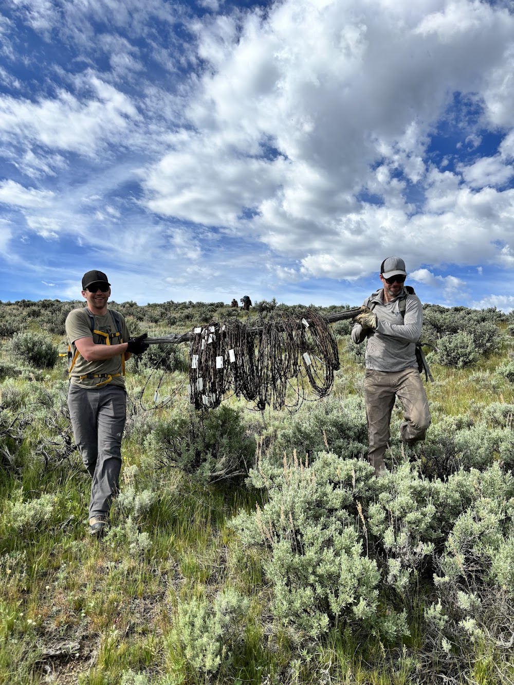 EVENT RECAP: Montana BHA Hosts Fence Pull in SW Montana with NWF