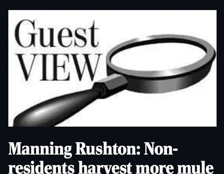 OPINION: Non-residents harvest more mule deer bucks than residents in NE Montana