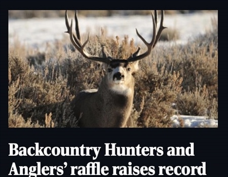 Backcountry Hunters and Anglers’ raffle raises record amount for mule deer conservation in Montana