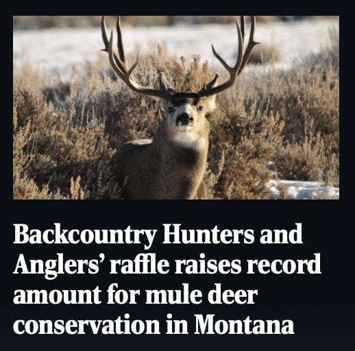 Backcountry Hunters and Anglers’ raffle raises record amount for mule deer conservation in Montana