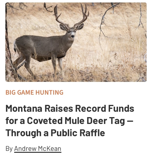Montana Raises Record Funds for a Coveted Mule Deer Tag — Through a Public Raffle