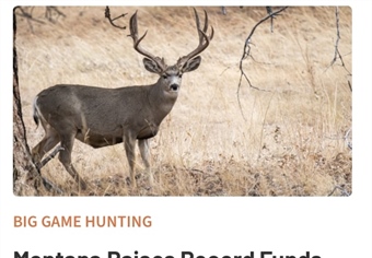 Montana Raises Record Funds for a Coveted Mule Deer Tag — Through a Public Raffle