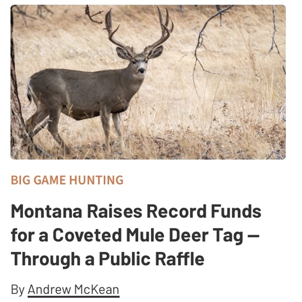 Montana Raises Record Funds for a Coveted Mule Deer Tag — Through a Public Raffle
