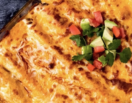 Elk Enchiladas