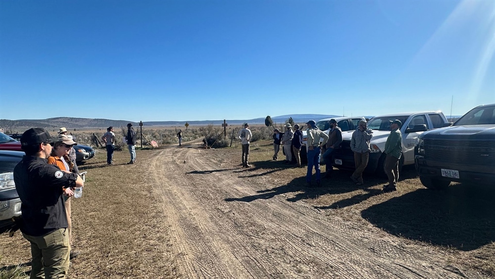 Skeleton Burn Fence Project: Recap