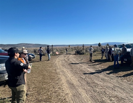 Skeleton Burn Fence Project: Recap
