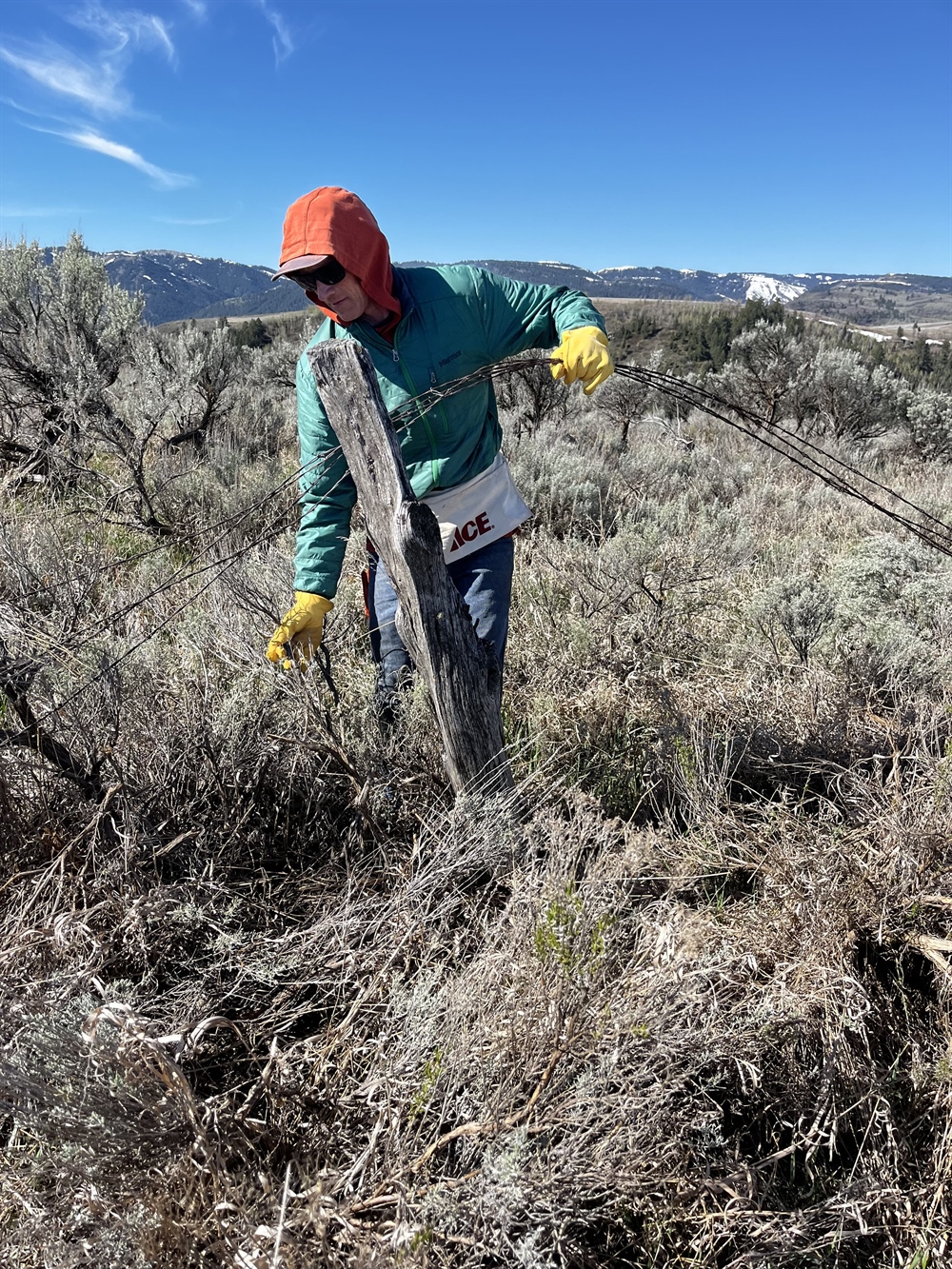 Habitat Stewardship in Idaho's Swan Valley