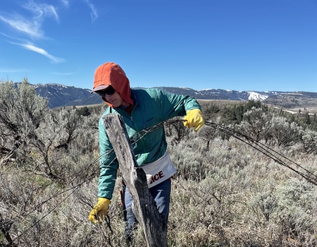 Habitat Stewardship in Idaho's Swan Valley