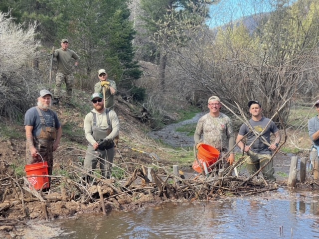 Volunteers Restore Habitat for Rio Grand Cutthroat Trout