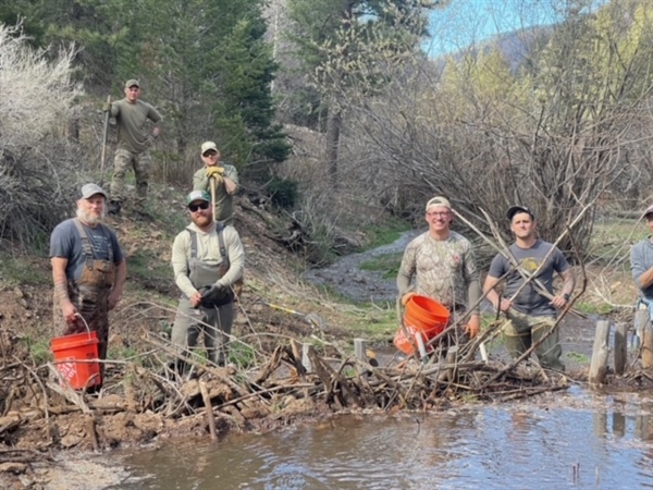 Volunteers Restore Habitat for Rio Grand Cutthroat Trout