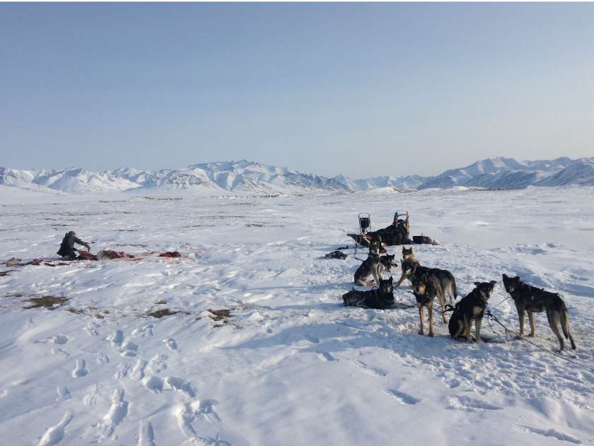 Central Yukon Resource Management Plan