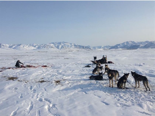 Central Yukon Resource Management Plan