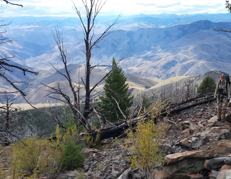 2024 Idaho BHA Legislative Recap