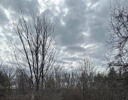 RECAP: Maine BHA Skowhegan Fence Removal