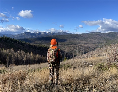 LETTER: BHA Supports Gold Creek-Twin Creek BLM Acquisition