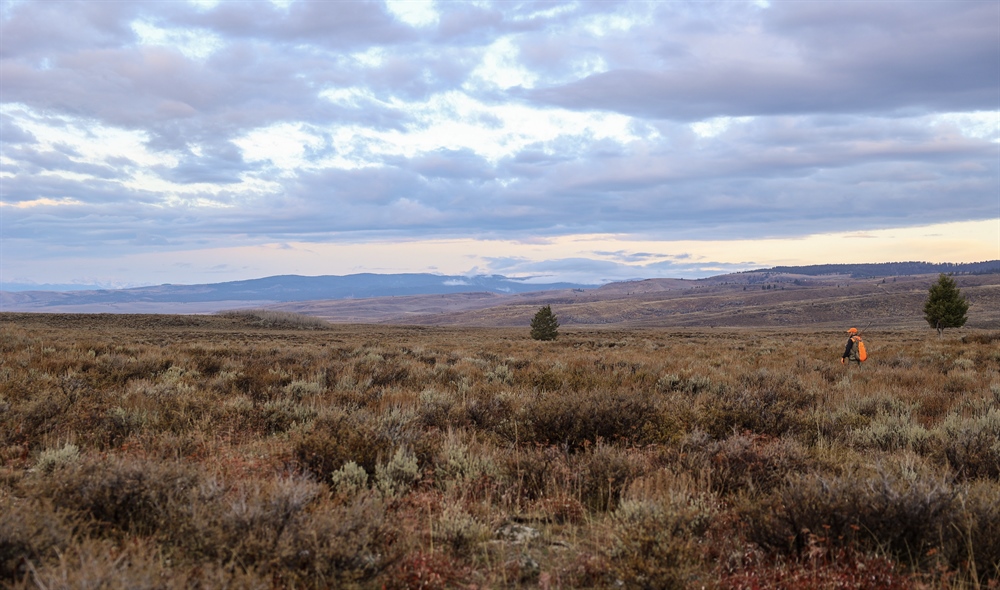 AFI Receives Praise for Stewardship work in CO
