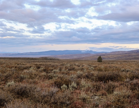 AFI Receives Praise for Stewardship work in CO