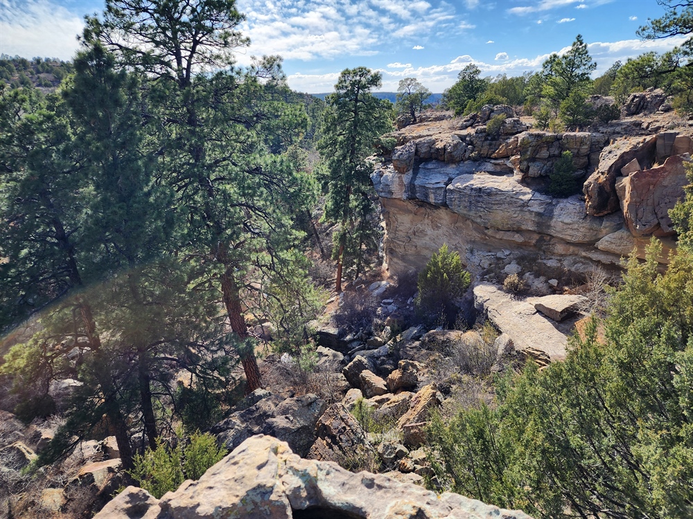 New Mexico BHA Tackles Kiowa Fence Improvements