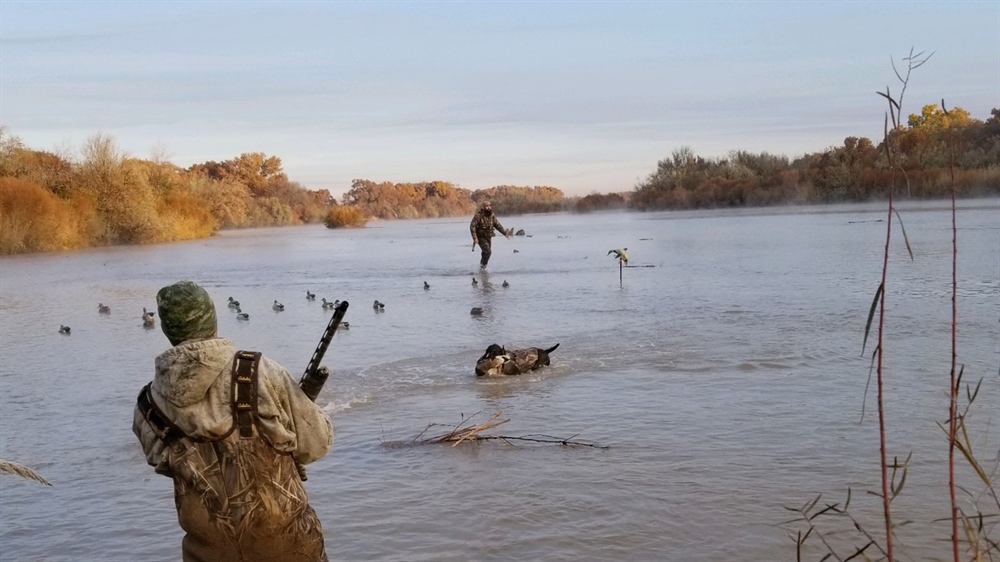 NM Waterfowl Hunters Comment on 2019 State Land Closure