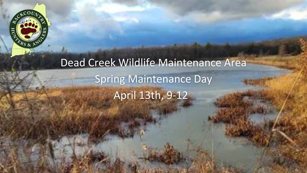 VT Recap: Maintenance Day at Dead Creek WMA April 2024